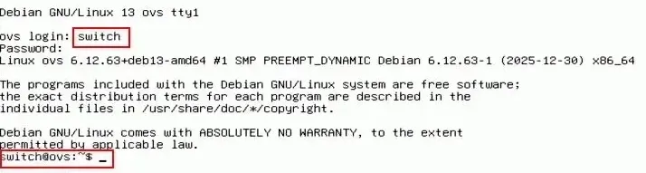 Capture - Open vSwitch : Premier démarrage de la VM ovs