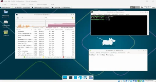 Capture - srvlan : Bureau Xfce personnalisé